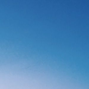 Meet your Posher, Dominika